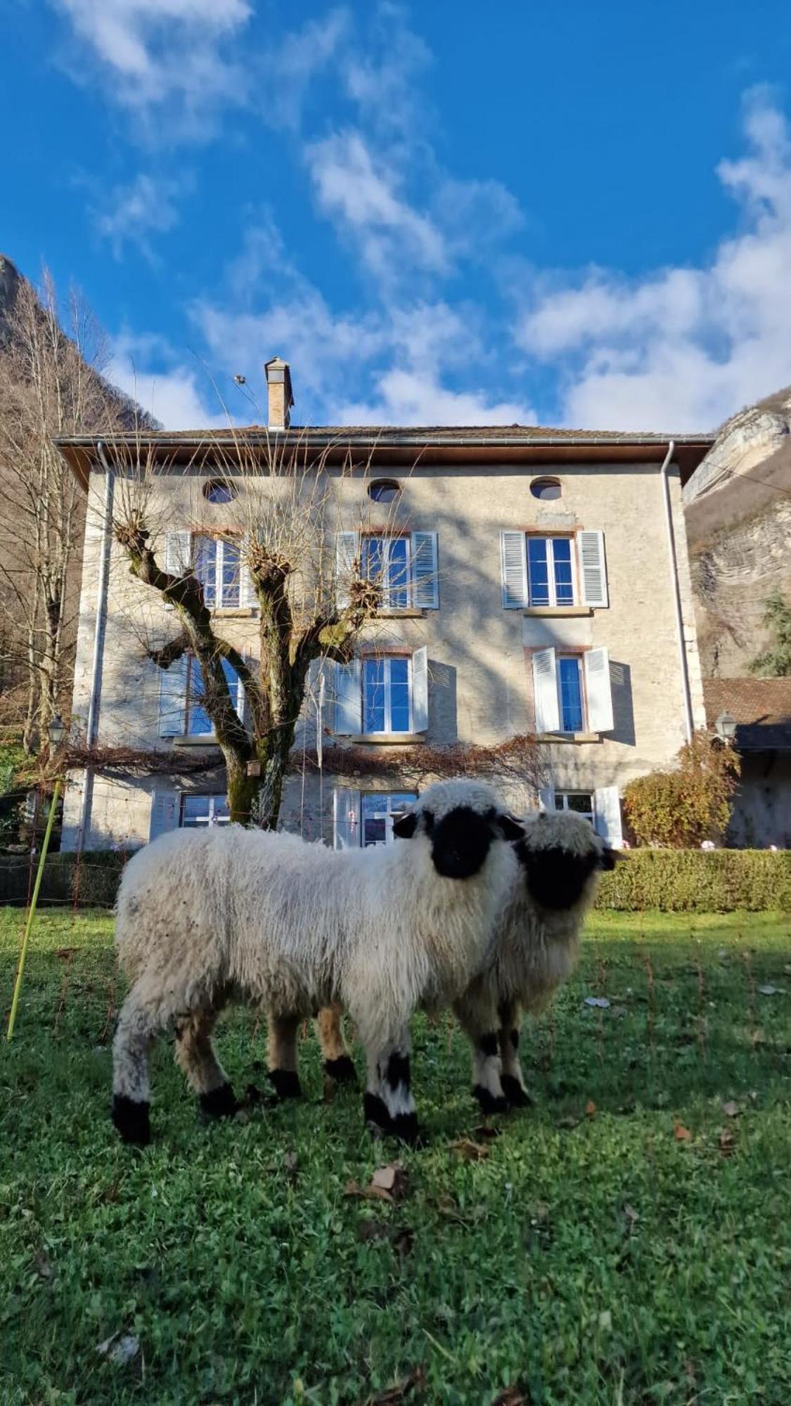 Chateau Monts Blancs Lumbin 外观 照片